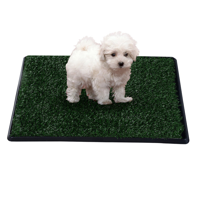 Pawhut Indoor Dog Toilet Mat in Green and Black Wayfair.co.uk